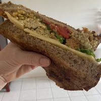 Vegan Falafel toastie ... absolutely freaking delicious  at NATORG Café in Clayfield