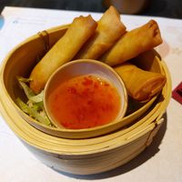 Spring rolls at Yuen Restaurant in Salzburg