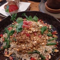 Vegan rendang made from jachfruit at De 4 Jaargetijden  in Epen