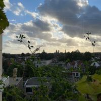  Vieuw at DeDAKKAS in Haarlem