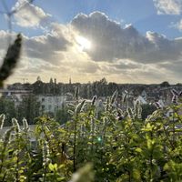 Vieuw at DeDAKKAS in Haarlem
