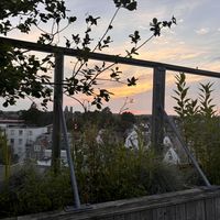 zo'n  at DeDAKKAS in Haarlem