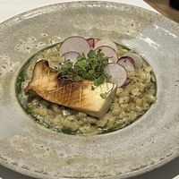 Celeriac risotto  at Holy Carrot in London