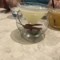   at Holy Carrot in London