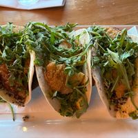 Vegan Tacos   at Federal Taphouse in State College