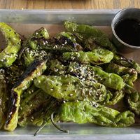 Shishitos   at Hudson Taco in Newburgh