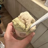   at Albero dei Gelati in Seregno