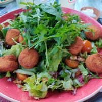 Falafel salad (comes with guac instead of tzatziki) at Zus en Zo in Steenwijk