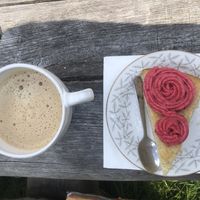 Vegan ”sockerkaka” and coffee with oat milk   at Frostbrunnsdalen in Borlaenge