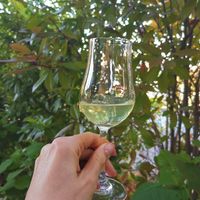 Homemade limoncello at Terra Rossa in Vienna