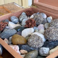 Vegane Süßigkeiten als krönender Abschluss at The Glass Garden in Salzburg