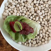   at The Glass Garden in Salzburg