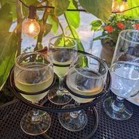 Wine flight at Piattini in Boston