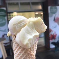 Mango-Schlemmerei at Der Eismacher in Bremen