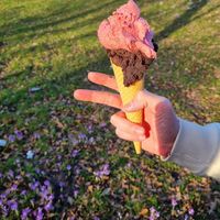 Himbeere und dunkle Schokolade at Der Eismacher in Bremen