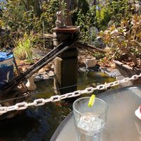 A pond with a fountain is a nice touch.  at Tinh & Lan Alice Vietnamese in Connellan