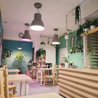  at Van Groch in Krakow