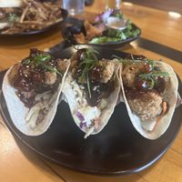   at Koto Brewing Company in Twin Falls