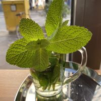 Mint tea! Lots of mint!!  at Dominion Food Revolution in Frankfurt