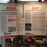 Infos zur Milch- und Eierindustrie #Veganuary at Dominion Food Revolution in Frankfurt