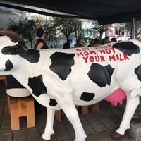 Art work outside at Dominion Food Revolution in Frankfurt