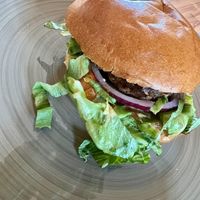  #Veganuary at Dominion Food Revolution in Frankfurt