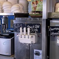 Some of the vegan options  at Gelateria Gaggero in Genoa