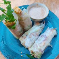 Spring rolls with peanut butter sauce at Herr Dang in Potsdam