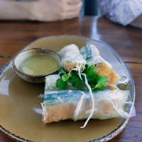 tofu fresh spring rolls at Herr Dang in Potsdam