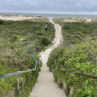   at Aloha Beach in Vrouwenpolder