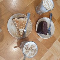  at Seed in Luxembourg City