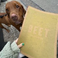   at Seed in Luxembourg City