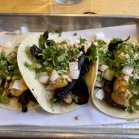 Mushroom tacos   at Switchback in Durango