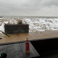   at Surfing Elephant in Wenduine