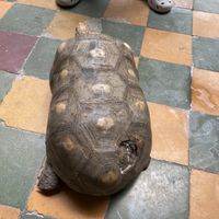   at Delicias Naturales in Popayan