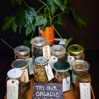 Organic Tea: Chai, Green Sencha, Red Bush, Cool Mint, Earl Grey, Black Tea and more! at Café Mellemfolk in Aarhus