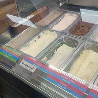 Vegan choices (2 total) at Freezing Point Creamery in Temple