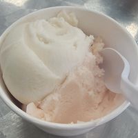 2 scoops (Almond milk Vanilla and peach sorbet) at Freezing Point Creamery in Temple