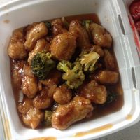 Tofu with sauce and broccoli  at Red Dragon in Spokane
