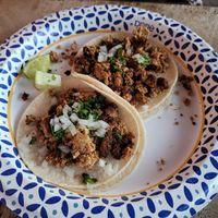 Street Tacos with spicy tofu at Gordos Mexican Food in Waialua