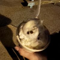 Vegan almond chocolate chip   at Lics Ice Cream in Northport