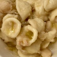 Cork from local slurpage  at Agriristories in Matera