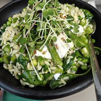 Orzo met groene asperges  at Vangroenten in Hasselt