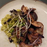 Shitake at Vangroenten in Hasselt