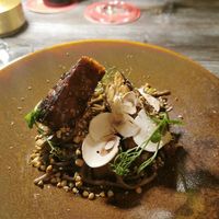  at Bosq in Den Hoorn Texel