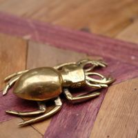 Cute beetle paperweight on the table at Hatena in Tokyo