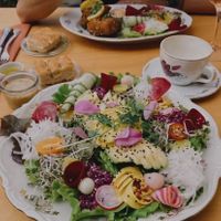   at Kasteel Kaneel in Laakdal