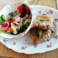 Kroketjes met bos champignons en kleurrijk slaatje + broodje. at Kasteel Kaneel in Laakdal