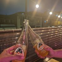 Fruit sodas at El Rayo Vegan Cantina in York