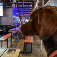 Gordon enjoying the ambience   at El Rayo Vegan Cantina in York